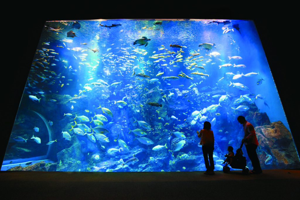 男鹿水族館GAO